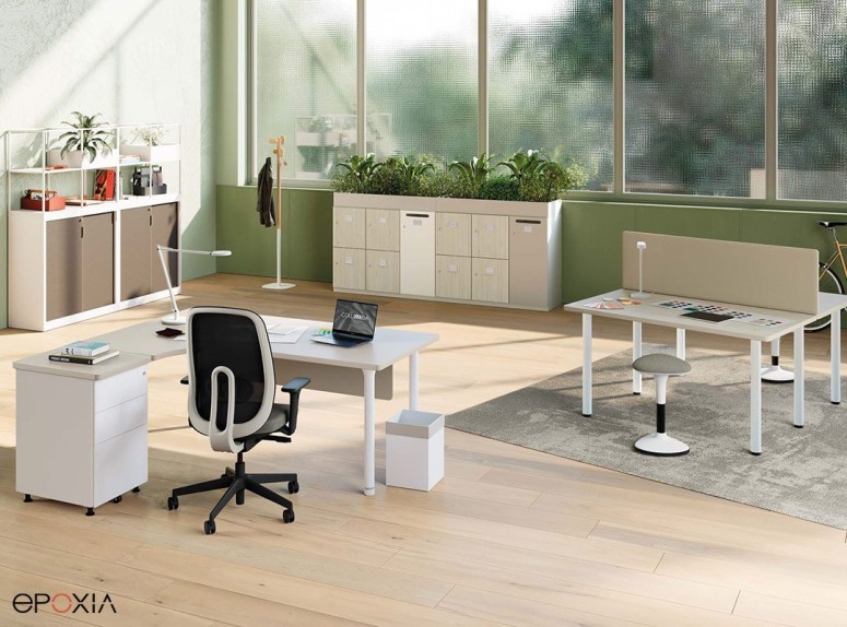 Collection de bureaux Timmos, plateaux Peuplier sablé, pieds blancs
