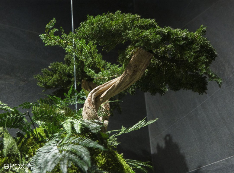 Suspension végétale Avatar, plantes artificielles