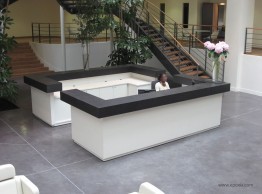 Réalisation banque d'accueil béton et laque
