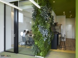 Jardin mural ou de plafond Mid