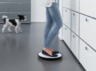 Plateforme d'équilibre Ongo Balance Board