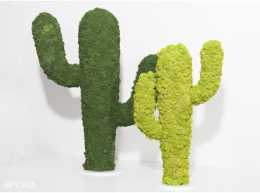 Totem végétal Kaktus