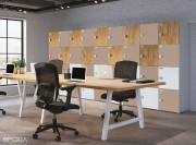 Casiers individuels Eko