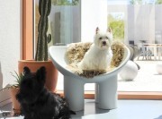 Fauteuil Roly Poly en polyéthylène blanc