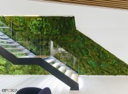 Aménagement escalier avec jardin vertical Basic Moss