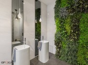 Aménagement d'une pièce d'eau, mur végétal Cottage