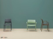 Collection de chaises et fauteuil Ara par Pedrali