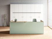 Outline comptoir d'accueil cabinet médical vert mat et chêne naturel