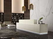 Banque d'accueil collection Z1