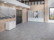 Bibliothèque Quiétude portes en verre dépoli
