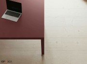 Détail plateau Fenix et piètement assorti