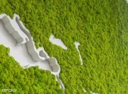 Détail lychen Green World