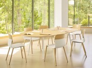 Chaises de collectivité Klik, pieds bois et coque polypropylène.