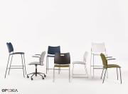 Collection Curvy par Casala