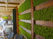 Jardin mural Lichen Custom