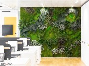 Jardin mural Mid pour habiller openspace