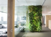 Habillage mur avec plantes d'illusion du jardin mural Mid