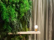 Détail Cottage, plantes d'illusion