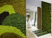 Détail panneau végétal Lichen Custom