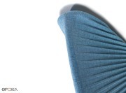 Détail Pinna