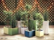 Collection Pick'up bacs à plantes