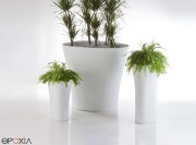 Pots indoor outdoor collection Bones