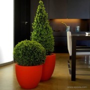 Grands pots Cuenco rouge mat