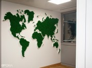 Cadre végétal Green World
