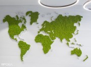 Cadre végétal Green World