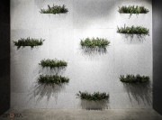 Mur acoustique composé avec Otogreen Wall Pocket
