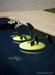 Pots flottants Ninfea Vert acide