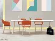 Fauteuils Babila pour espace de travail, coques polypropylènes et piètements bois