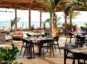 Fauteuils Gossip restauration et hotellerie
