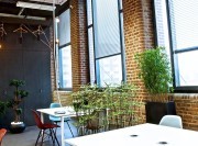 Cloisons végétales pour openspace