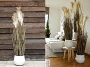 Collection scandinave : La Pampa