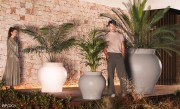 Grands pots design Marcel Wanders, opaques ou lumineux