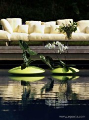 Pots flottants Ninfea Vert acide