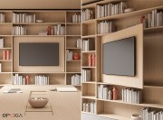 Exemple d'aménagement Profcase avec module TV