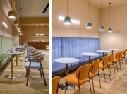 Chaises et tables Blume par Pedrali