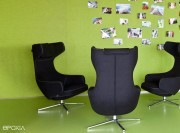 Revêtement mural acoustique Buzziskin uni vert