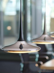 Suspension design Falling Leaf alu poli