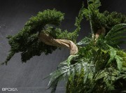 Suspension végétale Avatar, plantes artificielles