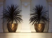 Pots dorés par Jmferrero