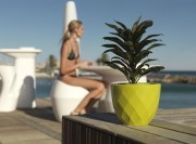 Pot laqué pistache par Jmferrero