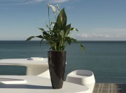 Vase laqué noir par Jmferrero