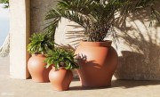 Grands pots Venus, pour sublimer vos extérieurs 